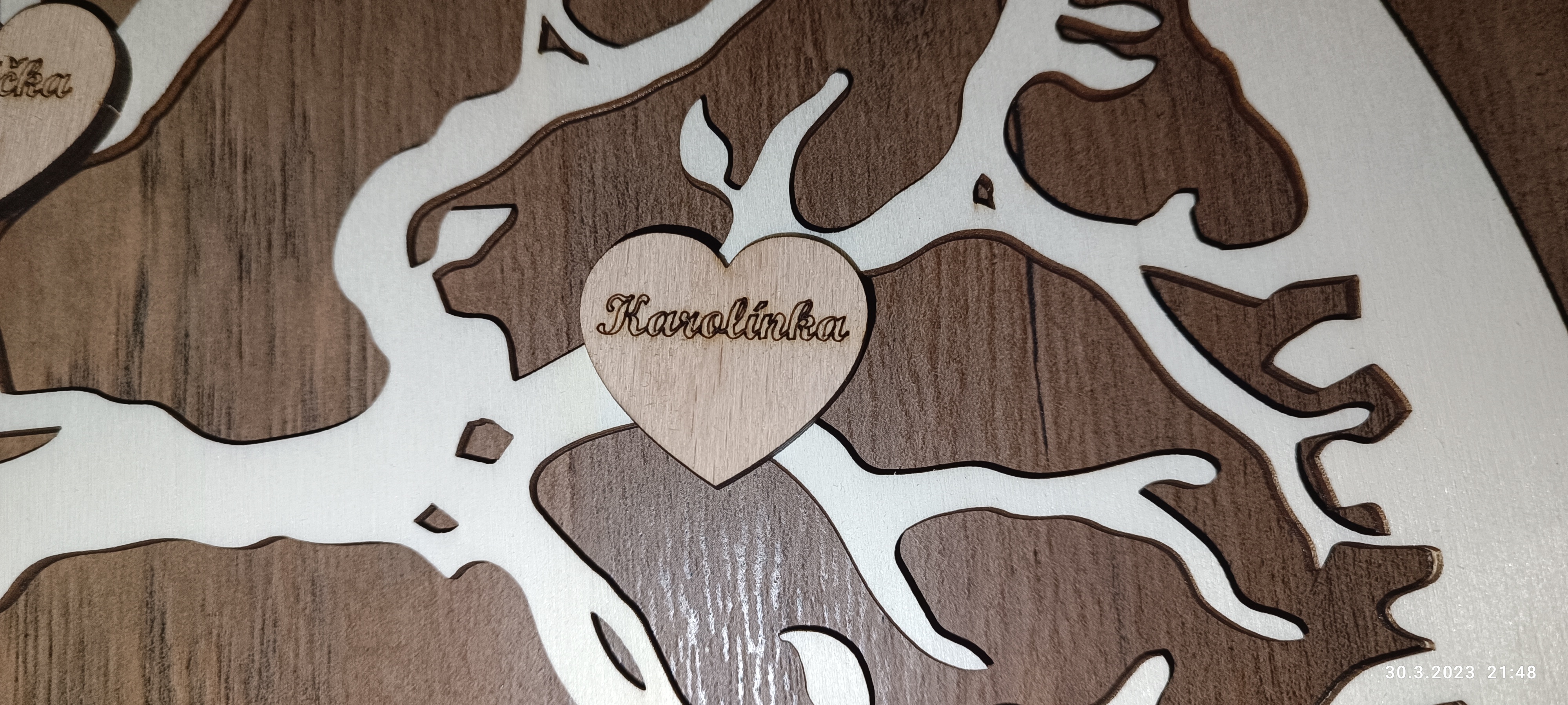 Srdíčka ke stromům života