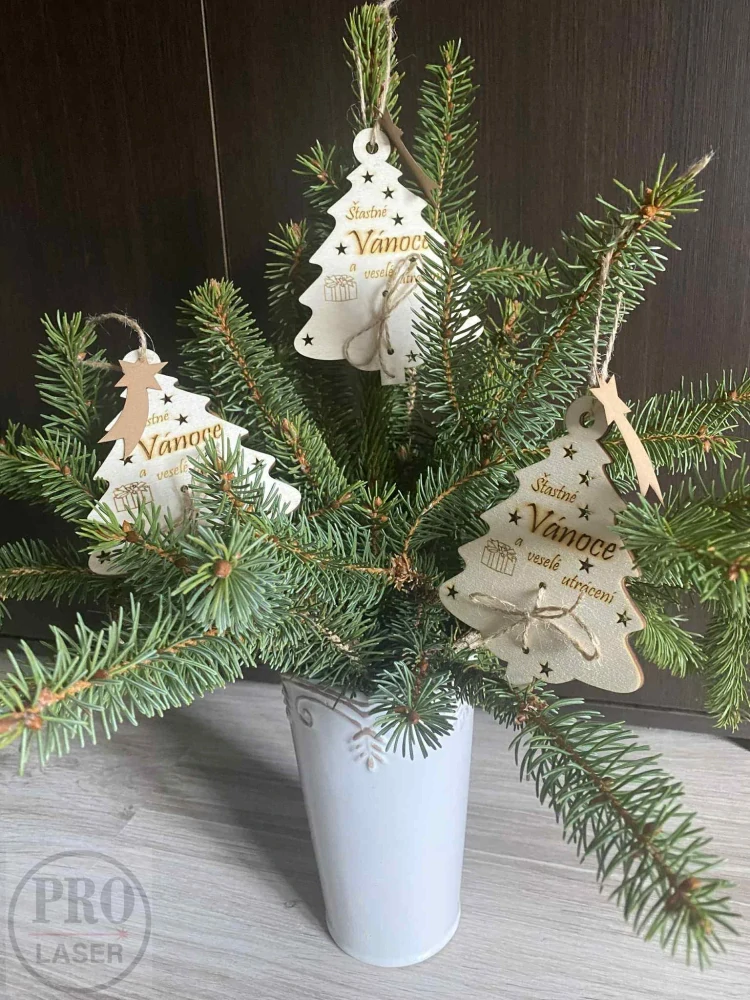 Dřevěný stromeček na peníze