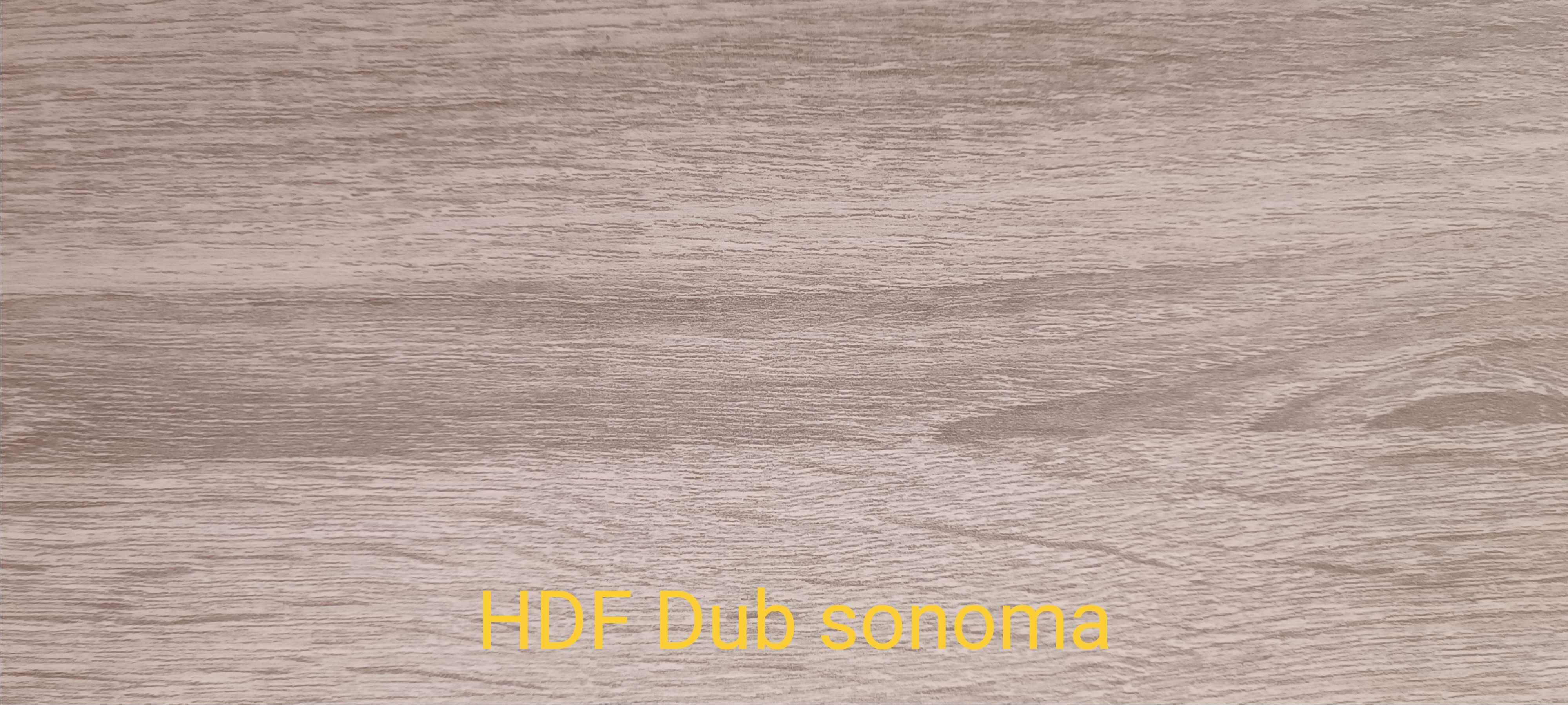 Dřevěný obraz divoká kočka